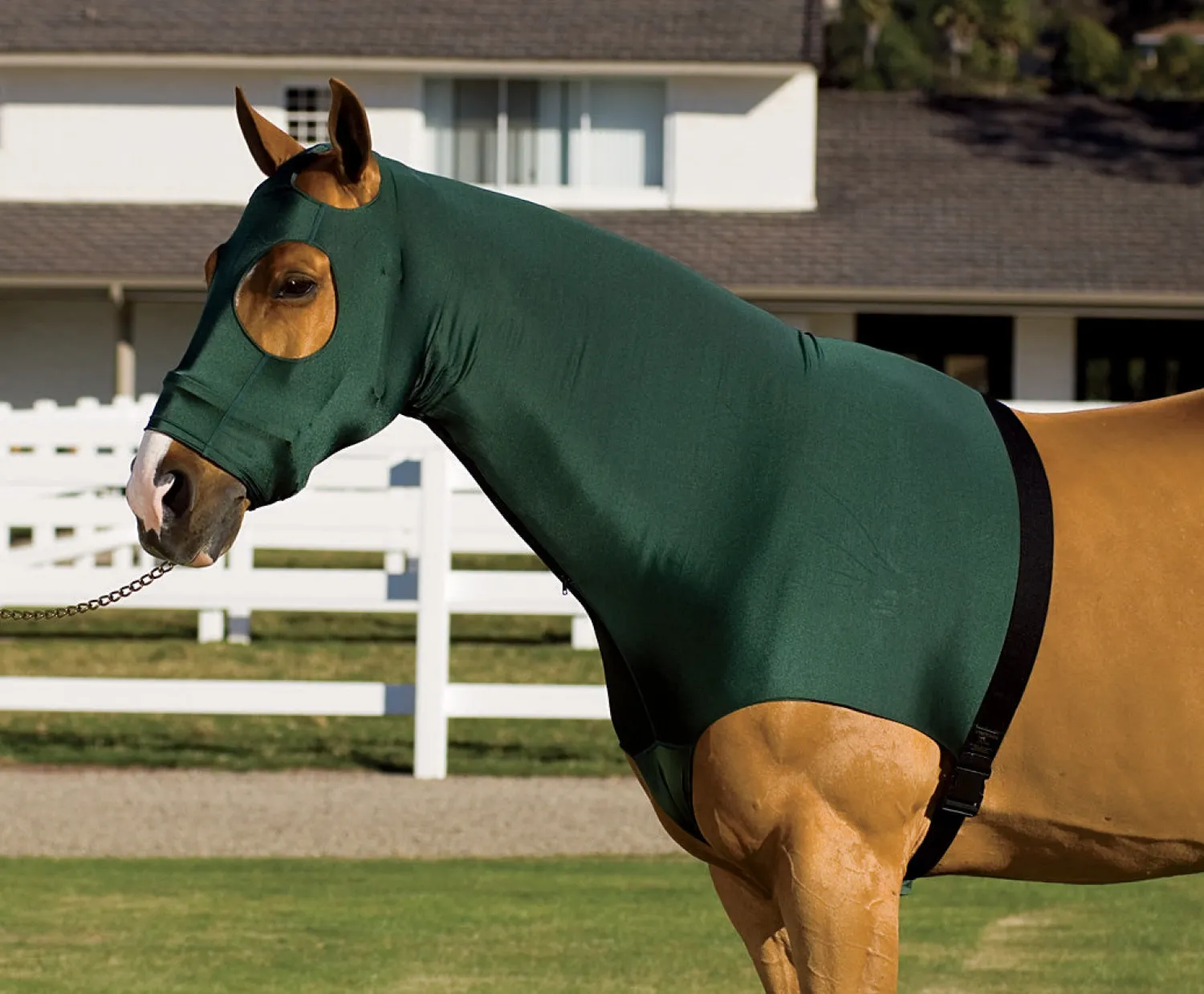 INT RIDING HELMET Flex Rider® Stretchies™ Hood Hot