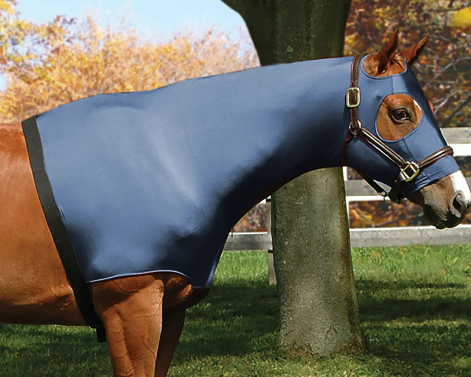 INT RIDING HELMET Flex Rider® Stretchies™ Hood Hot