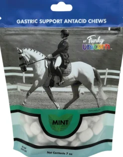 INTREPID INTL Funky Unicorn Gastric Support Antacid Chews - 7 oz. Mint Best