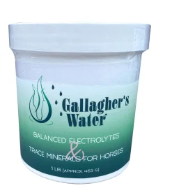 EQUESTRIBEV Gallagher’s Water™ Balanced Electrolytes & Trace Minerals Sale