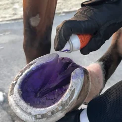 RJ MATTHEWS Groom’s Hand Thrush Solution® Purple Hot