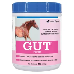 SMARTPAK GUT™ Powder by SmartEquine™ - 2 lbs Online
