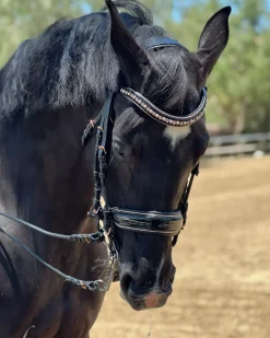HALTER EGO Aurelia Rose Gold Black Patent Double Bridle Black Patent/Rose Gold New