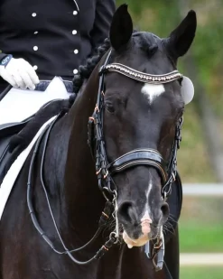 HALTER EGO Aurelia Rose Gold Black Patent Double Bridle Black Patent/Rose Gold New