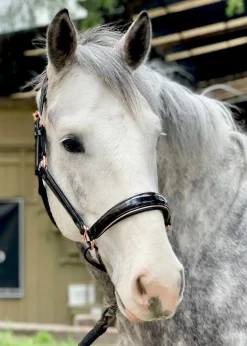 HALTER EGO Aurelia Rose Gold Halter Black Patent/Rose Gold Outlet