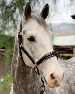 HALTER EGO Aurelia Rose Gold Halter Black Patent/Rose Gold Outlet