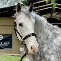 HALTER EGO ® Catalonia Halter Metallic Bronze Patent Discount