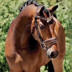 HALTER EGO ® Catalonia Snaffle Bridle Metallic Bronze Patent Sale