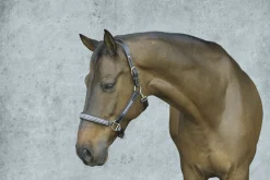 JPC EQUESTRIAN HDR Padded Jewel Halter Online