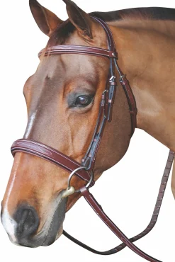 JPC EQUESTRIAN Henri de Rivel Mono Crown Bridle with Padded Wide Noseband Outlet