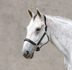 JPC EQUESTRIAN Henri de Rivel Padded Leather Crystal Halter Sale