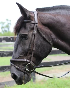 JPC EQUESTRIAN Henri de Rivel Piaffe Mono Crown Bridle with Flash Noseband & Patent Leather Clearance