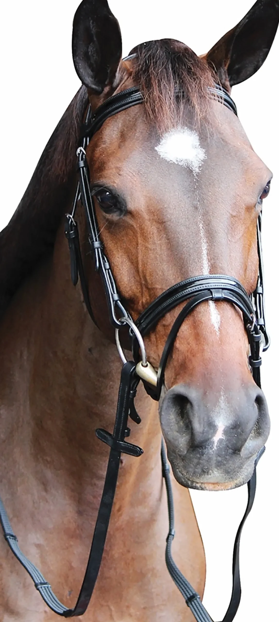 JPC EQUESTRIAN Henri de Rivel Piaffe Mono Crown Bridle with Flash Noseband & Patent Leather Clearance