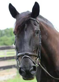 JPC EQUESTRIAN Henri de Rivel Piaffe Mono Crown Bridle with Flash Noseband & Patent Leather Clearance