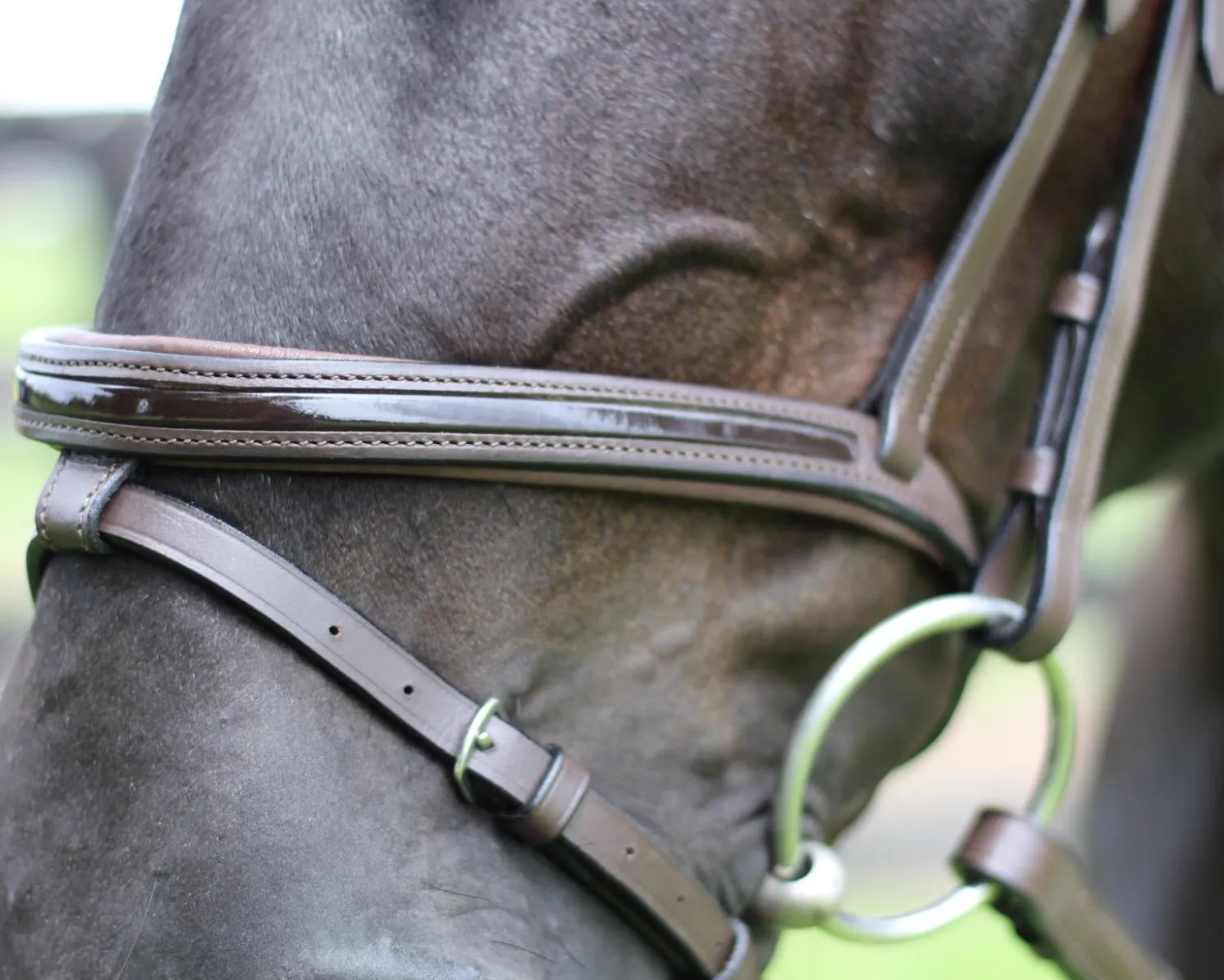 JPC EQUESTRIAN Henri de Rivel Piaffe Mono Crown Bridle with Flash Noseband & Patent Leather Clearance