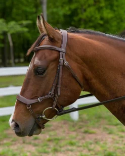 JPC EQUESTRIAN Henri de Rivel Pro Anatomical Bridle Discount