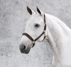 JPC EQUESTRIAN Henri de Rivel Stress Free Halter with Fancy Contrast Stitching Outlet