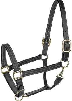 JPC EQUESTRIAN Henri de Rivel Triple-Stitched Halter Hot