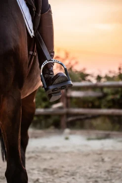 GEM-HERM SPRENGER Herm Sprenger® Flexcite Stirrups Silver/Black Discount