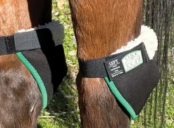 CLICK HORSE PRODUCTS Hock Shield New