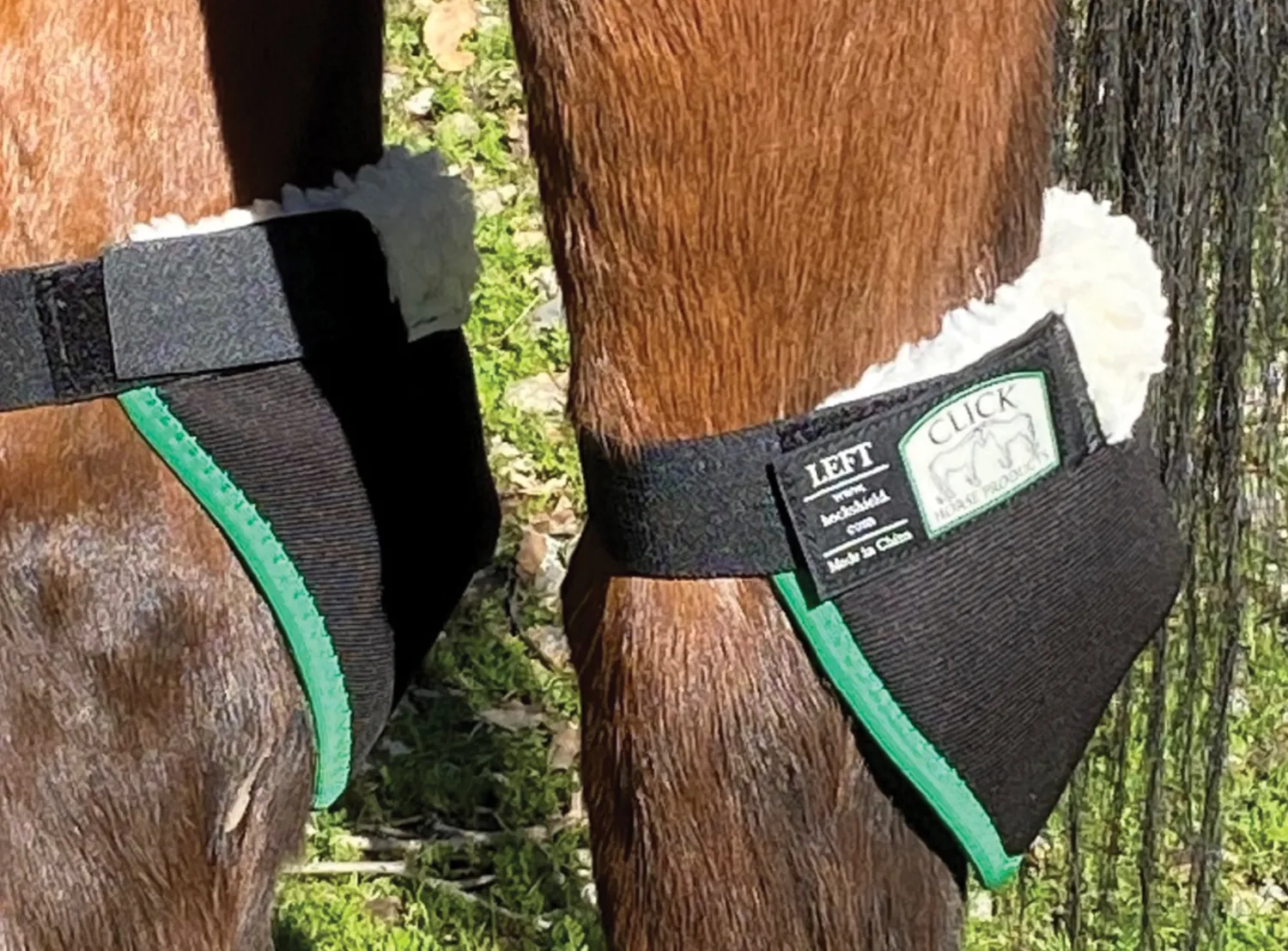 CLICK HORSE PRODUCTS Hock Shield New