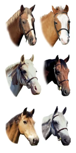 KELLEY AND COMPANY Horse Stickers Sale