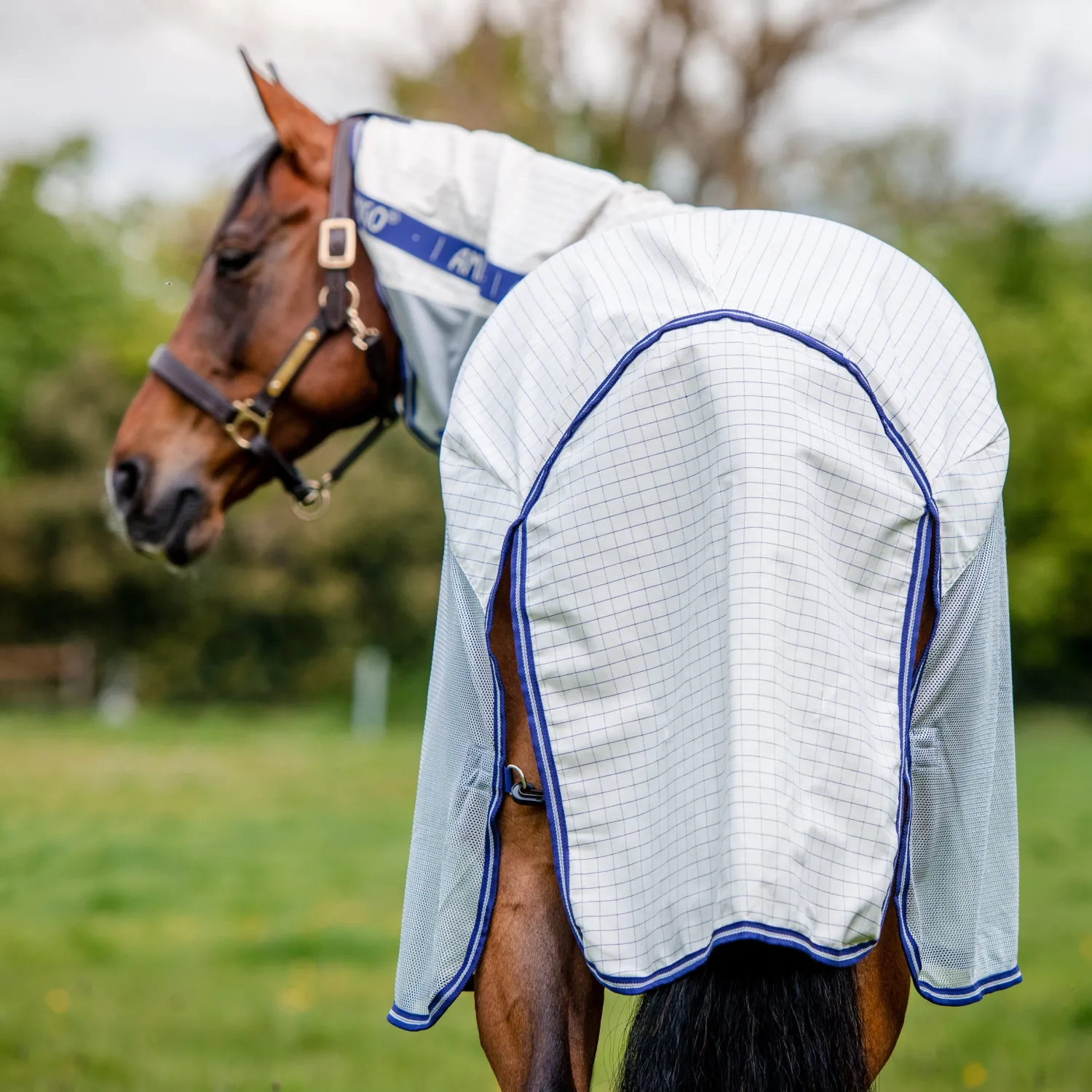 HORSEWARE ® Amigo® Airflow Sheet Discount
