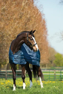 HORSEWARE ® Ireland 200 Gram Blanket Liner Navy/Navy Hot