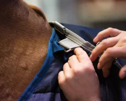 HORSEWARE ® Ireland 400 Gram Blanket Liner Navy/Navy Clearance