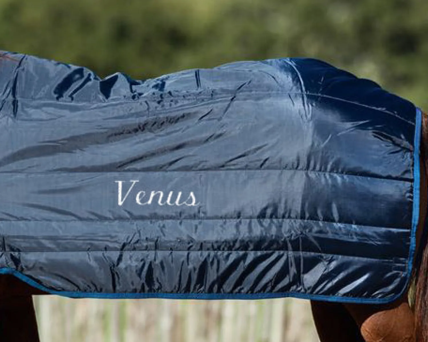 HORSEWARE ® Ireland 100 Gram Blanket Liner Navy/Navy Hot