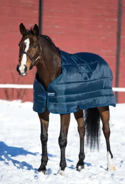 HORSEWARE ® Ireland 300 Gram Blanket Liner Navy/Navy Online