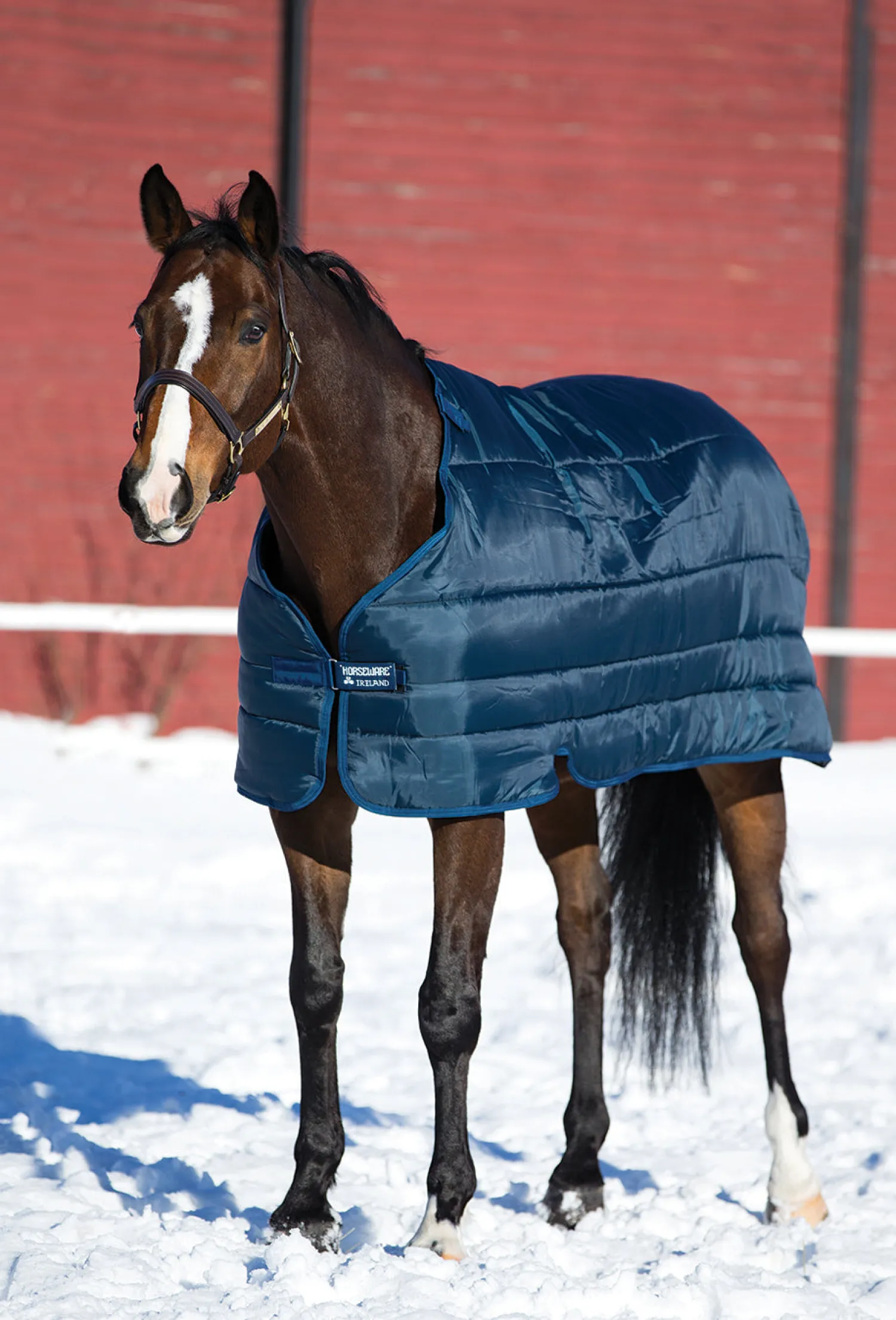 HORSEWARE ® Ireland 300 Gram Blanket Liner Navy/Navy Online