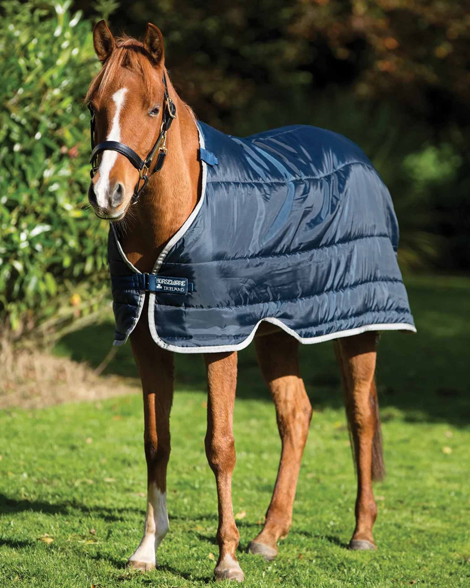 HORSEWARE ® Ireland 200 Gram Pony Blanket Liner Navy/Silver Online