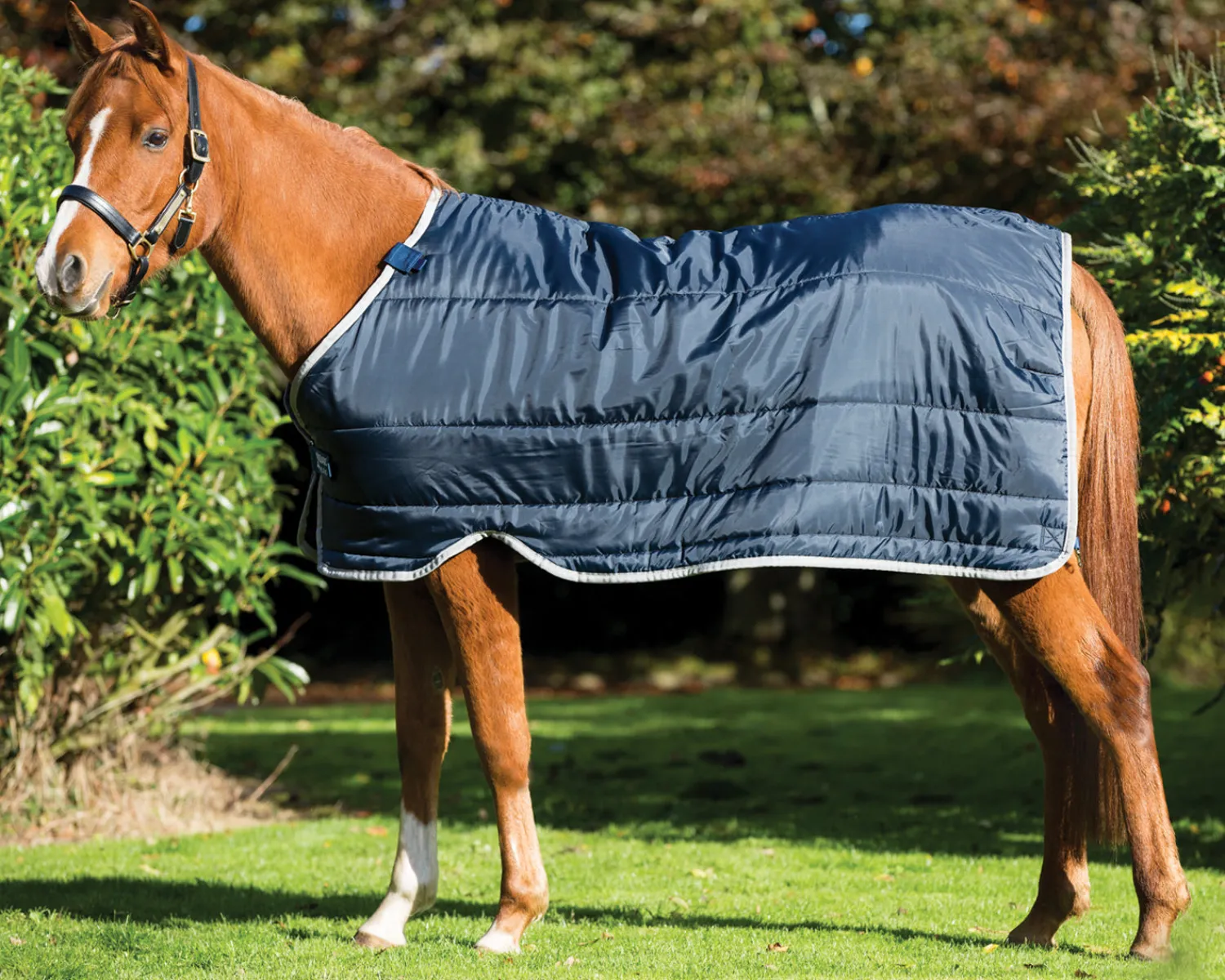 HORSEWARE ® Ireland 200 Gram Pony Blanket Liner Navy/Silver Online