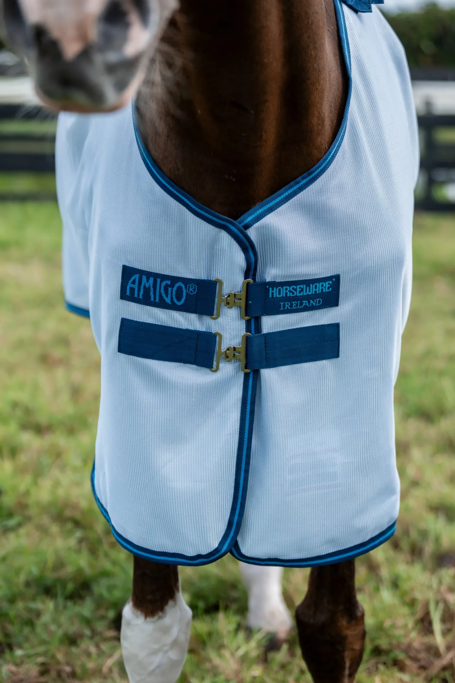 HORSEWARE ® Ireland Amigo® Bug Rug Plus Fly Sheet Online