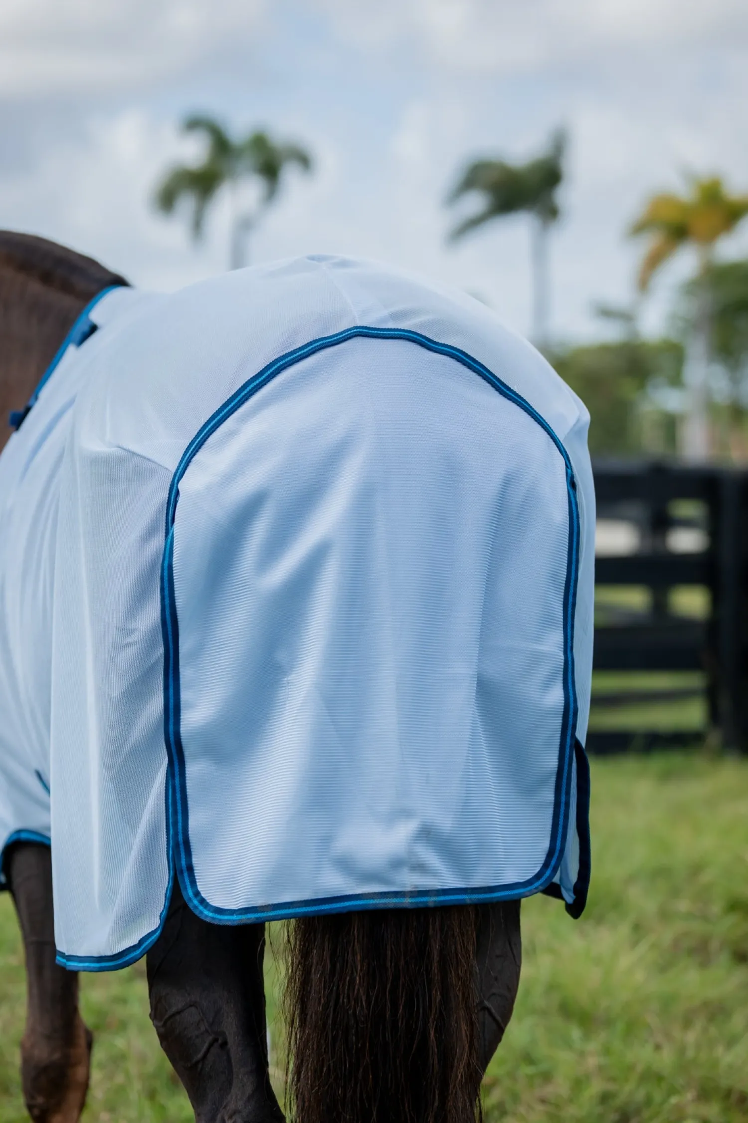 HORSEWARE ® Ireland Amigo® Bug Rug Plus Fly Sheet Online