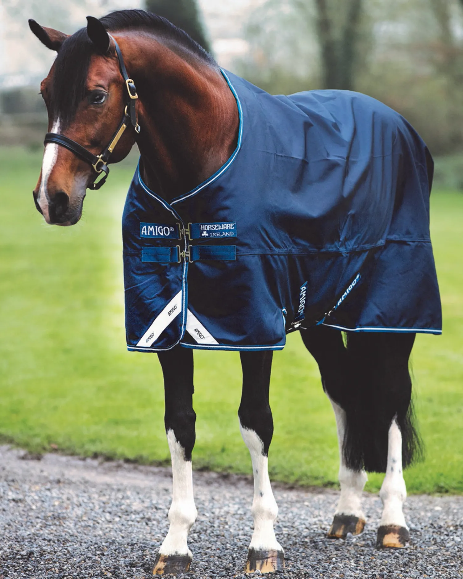 HORSEWARE ® Ireland Amigo® Bravo 12 Heavyweight Turnout Blanket