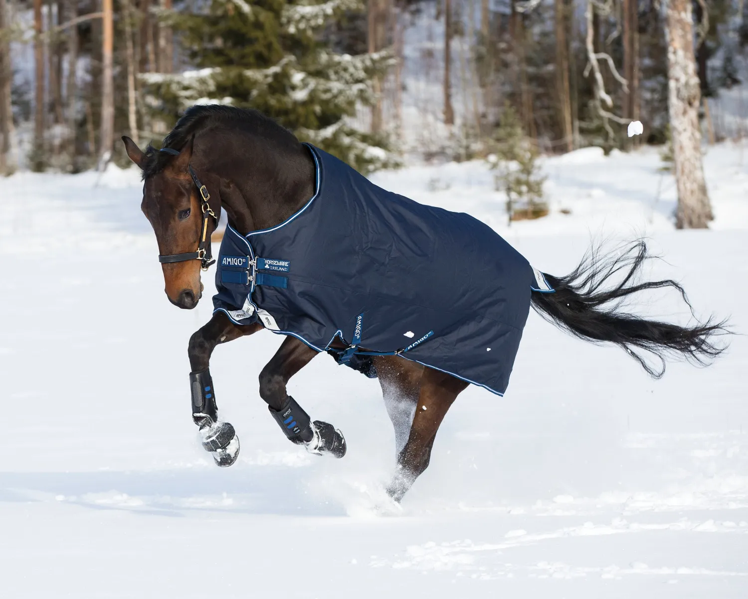 HORSEWARE ® Ireland Amigo® Bravo 12 Heavyweight Turnout Blanket