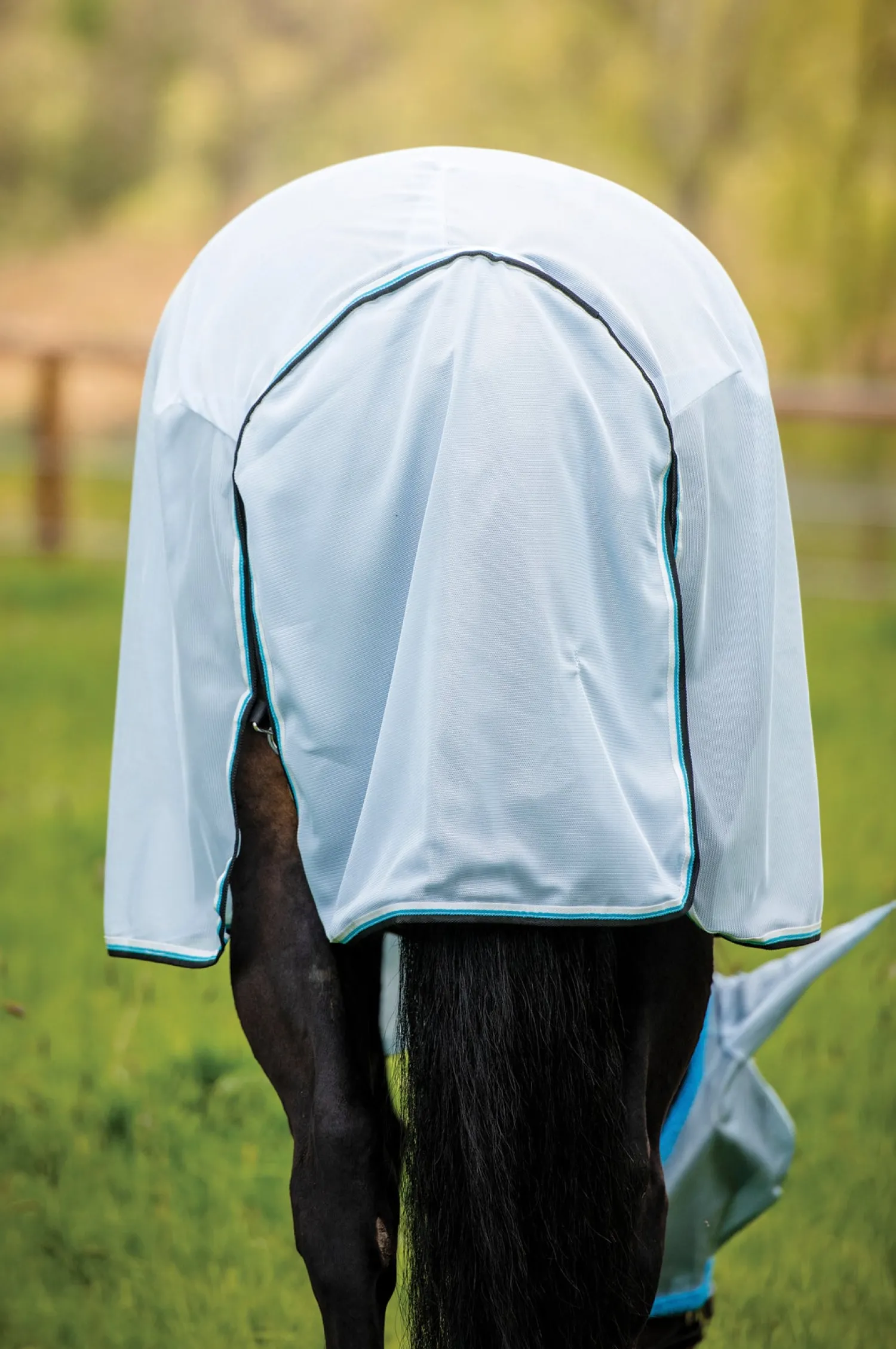 HORSEWARE ® Ireland Amigo® Bug Rug Azure Blue/Black Sale