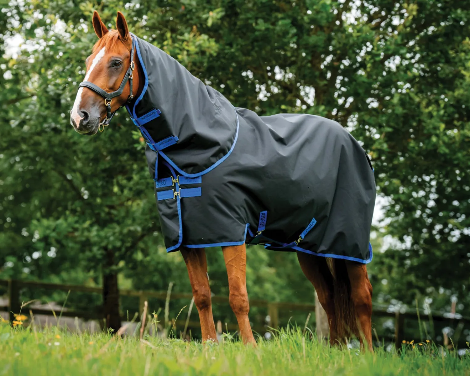 HORSEWARE ® Ireland Amigo® 900D Ripstop Plus Turnout-100-Grams Best