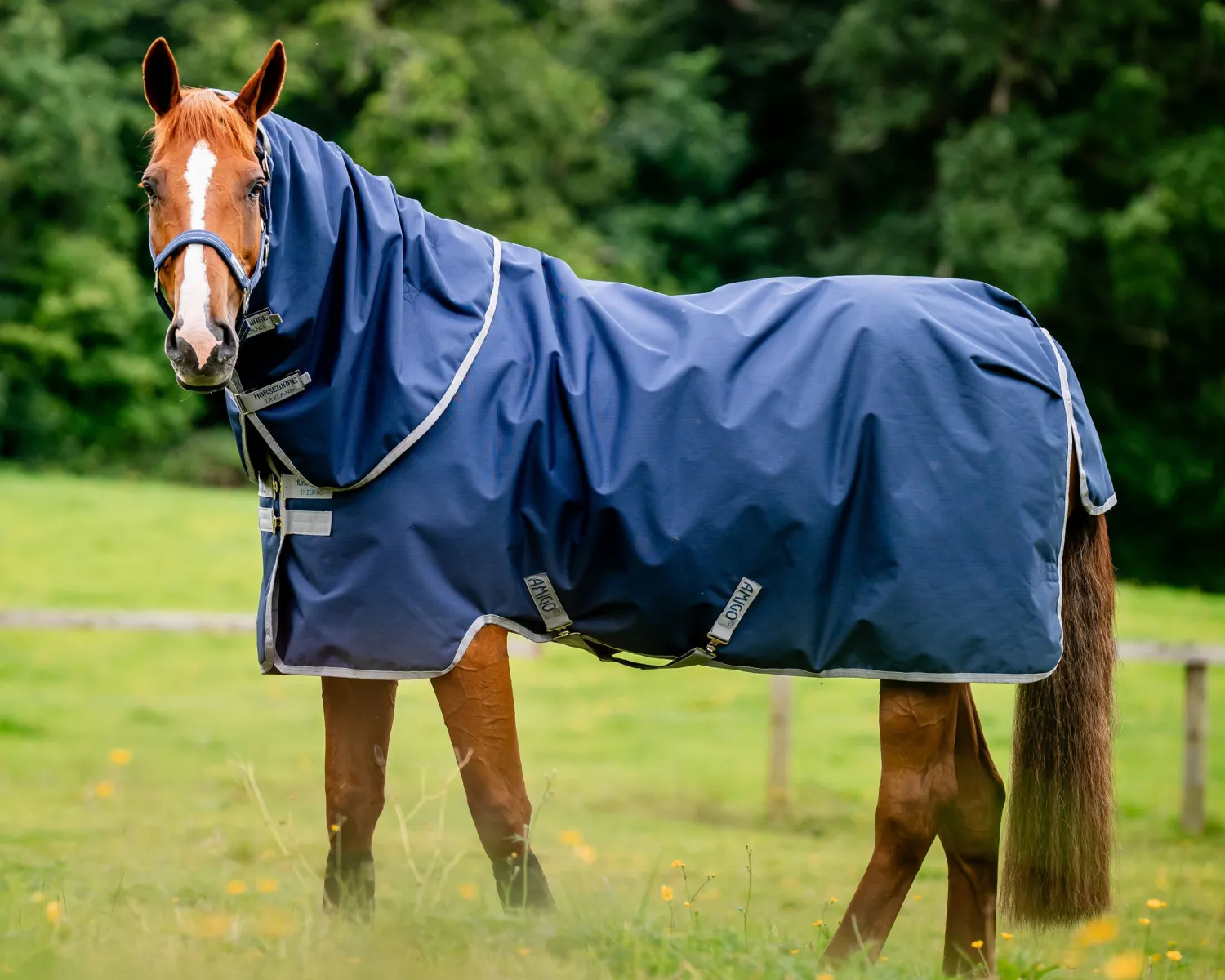 HORSEWARE ® Ireland Amigo® 900D Ripstop Plus Turnout-100-Grams Best