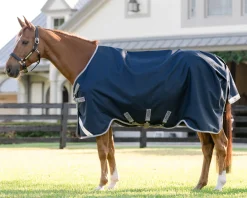 HORSEWARE ® Ireland Amigo® 1200D Turnout Sheet Standard Neck Hot