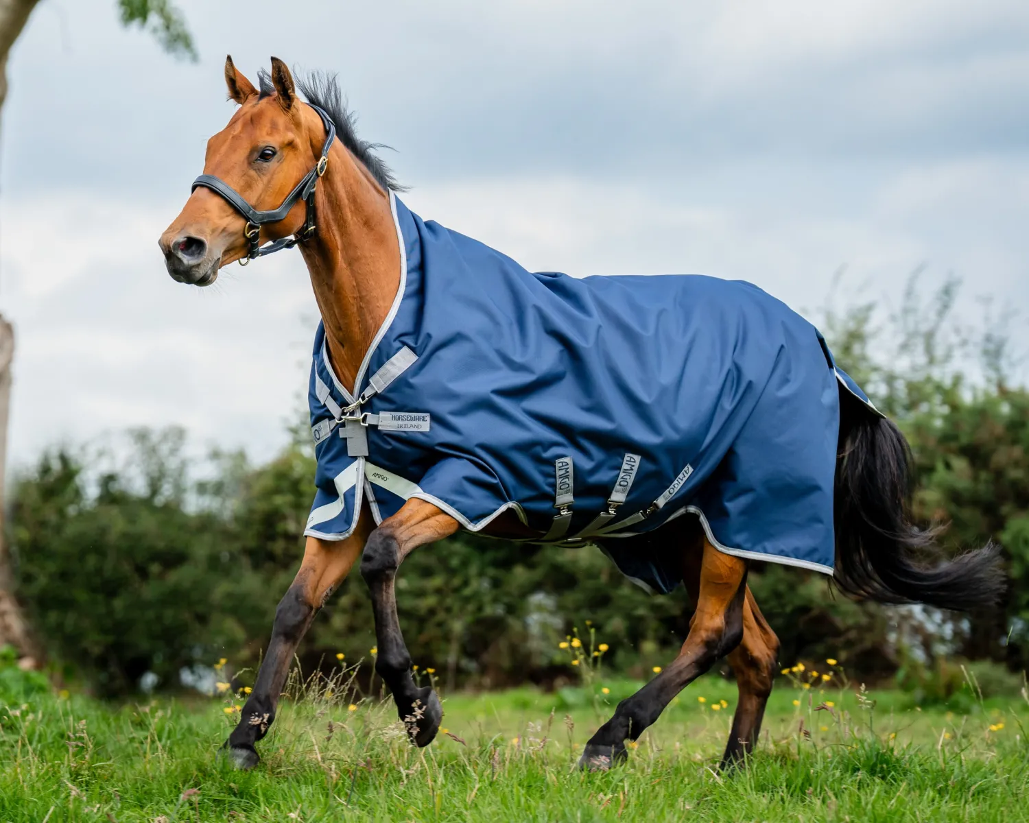 HORSEWARE ® Ireland Amigo® 1200D Wug Turnout Sheet Discount