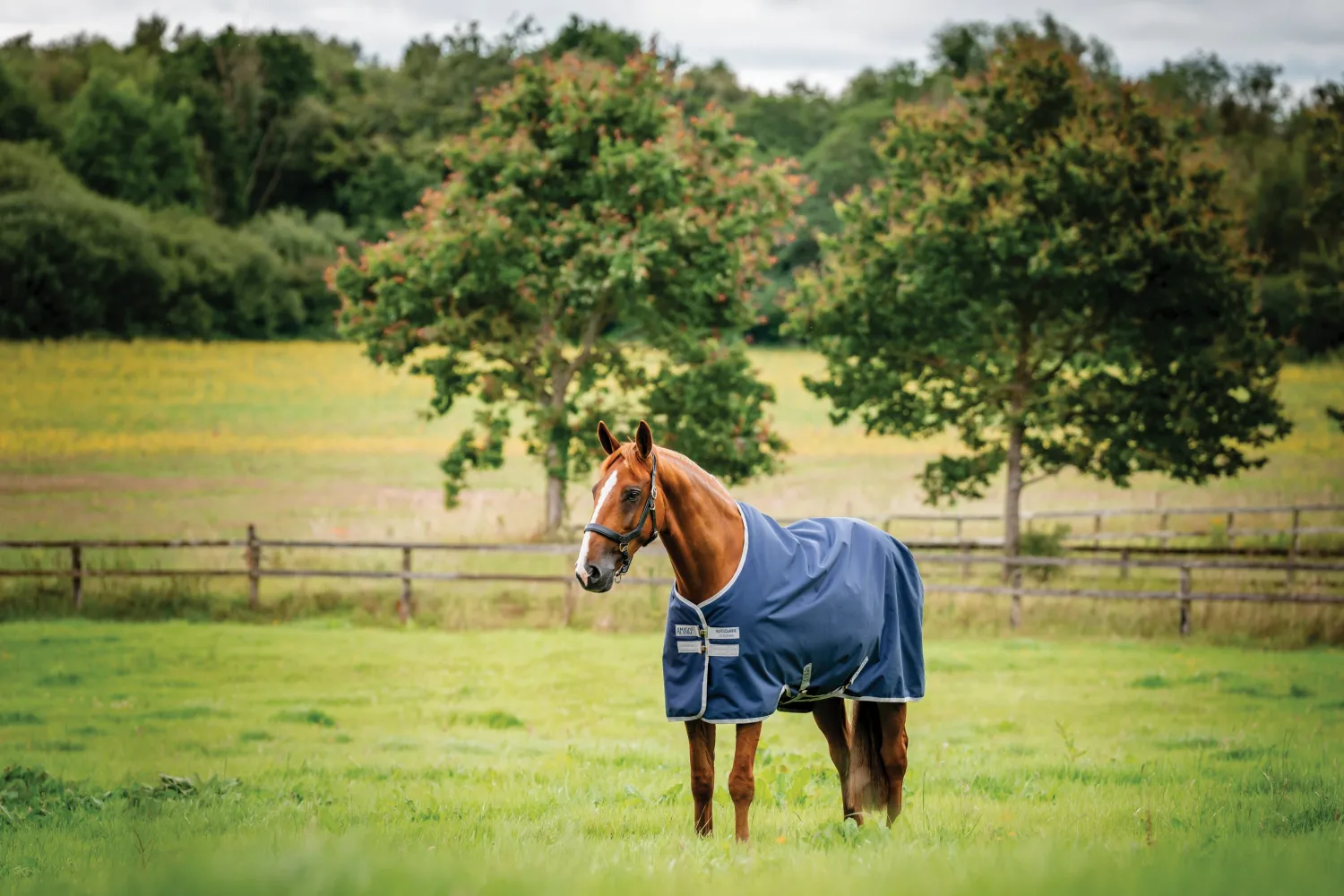 HORSEWARE ® Ireland Amigo® 900D Ripstop 0 Gram Turnout Sheet Online
