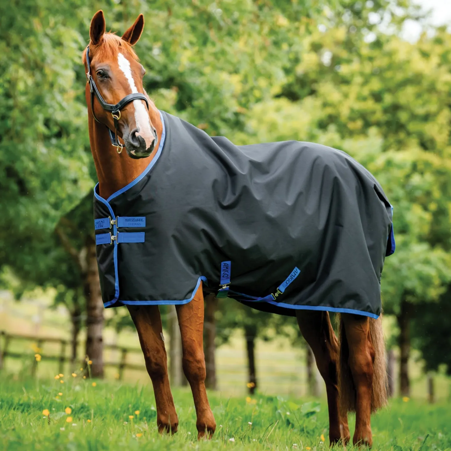 HORSEWARE ® Ireland Amigo® 900D Ripstop 0 Gram Turnout Sheet Online