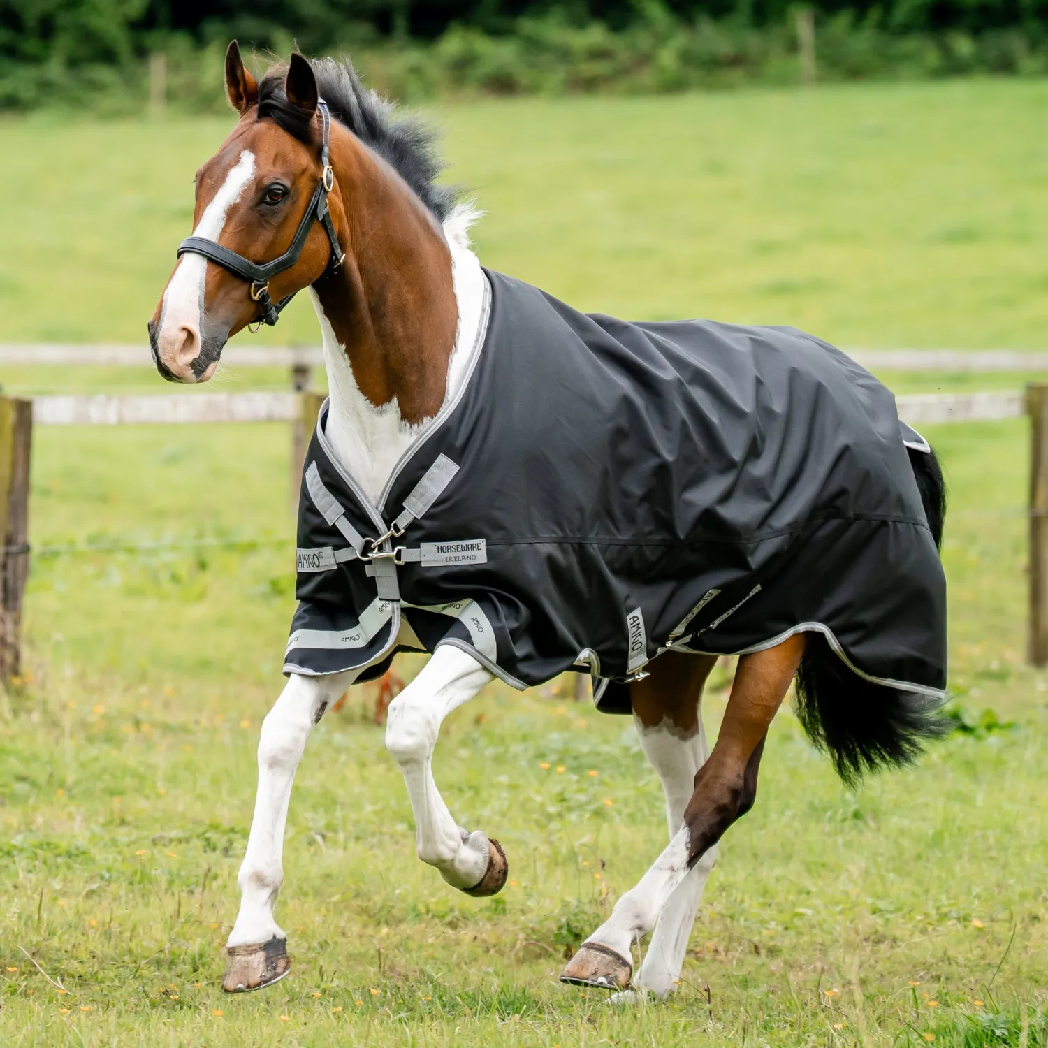 HORSEWARE ® Ireland Amigo® 1200D Plus Turnout 250 Gram New