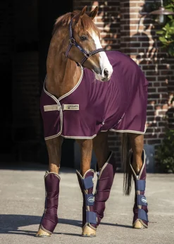 HORSEWARE ® Ireland Amigo® Jersey Cooler Discount