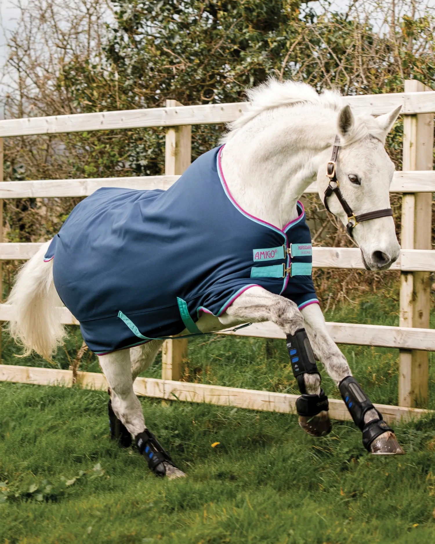 HORSEWARE ® Ireland Amigo® Pony Hero 900D Medium-Weight Turnout Blanket Best