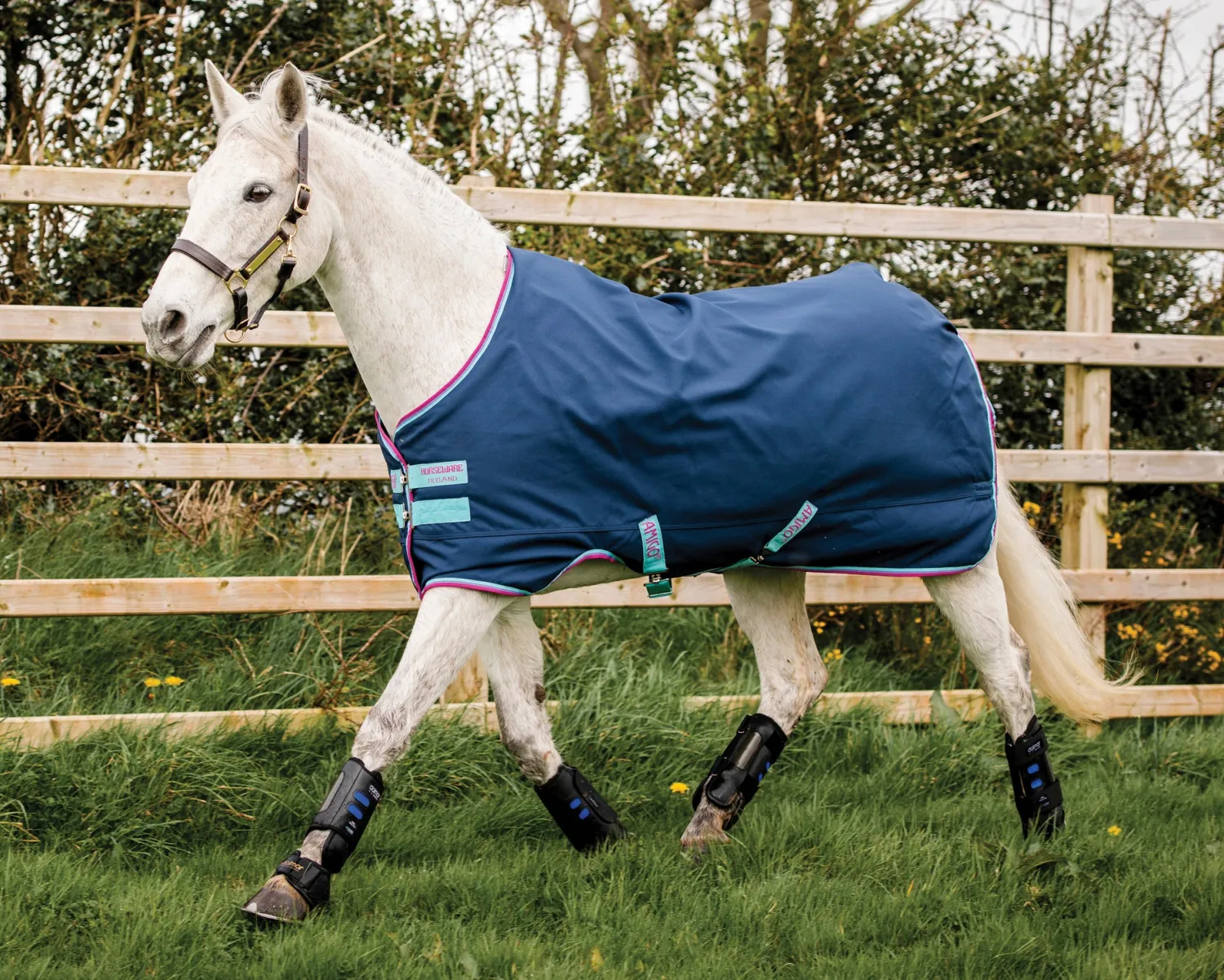 HORSEWARE ® Ireland Amigo® Pony Hero 900D Medium-Weight Turnout Blanket Best