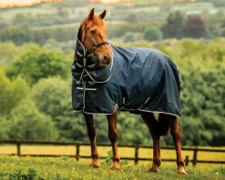 HORSEWARE ® Ireland Amigo® Ripstop 900D 200 Grams Plus Pony Turnout New